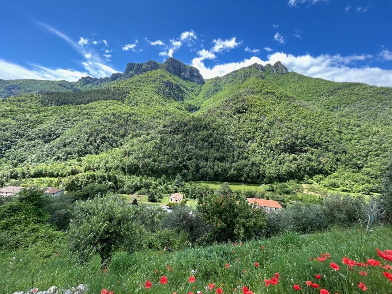 Castelletto With Mountain View Apartment Colletta Exterior foto